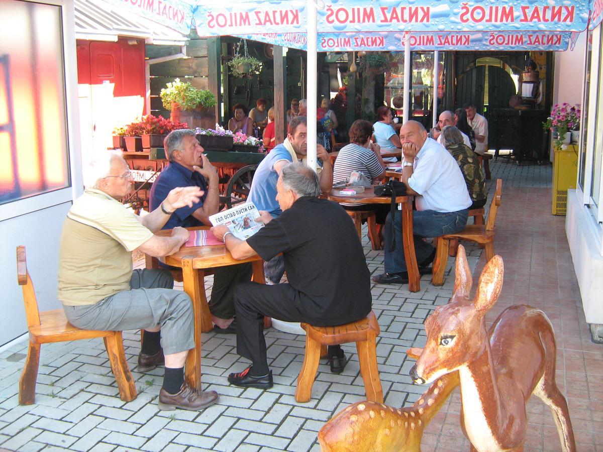 Sobe Za Izdavanje Blef Ovcar Banja Zewnętrze zdjęcie